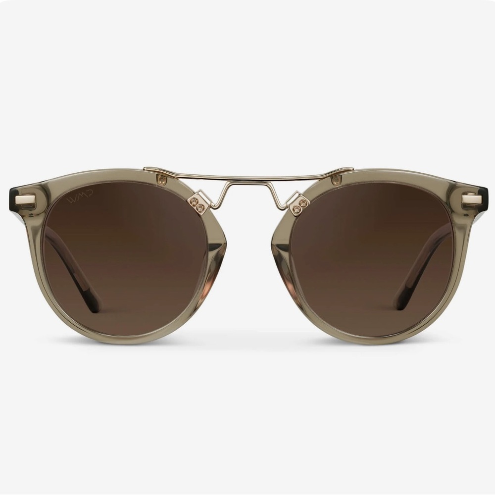 Polarized Sunglasses with Gold Accent